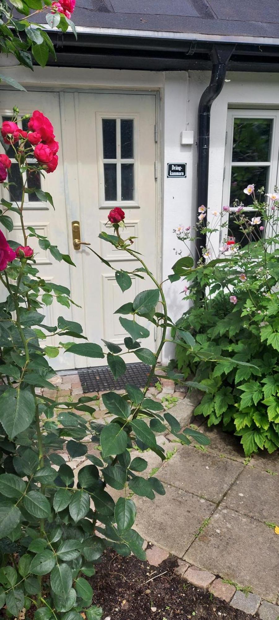 Bjerred B&B Bjärred Exteriör bild