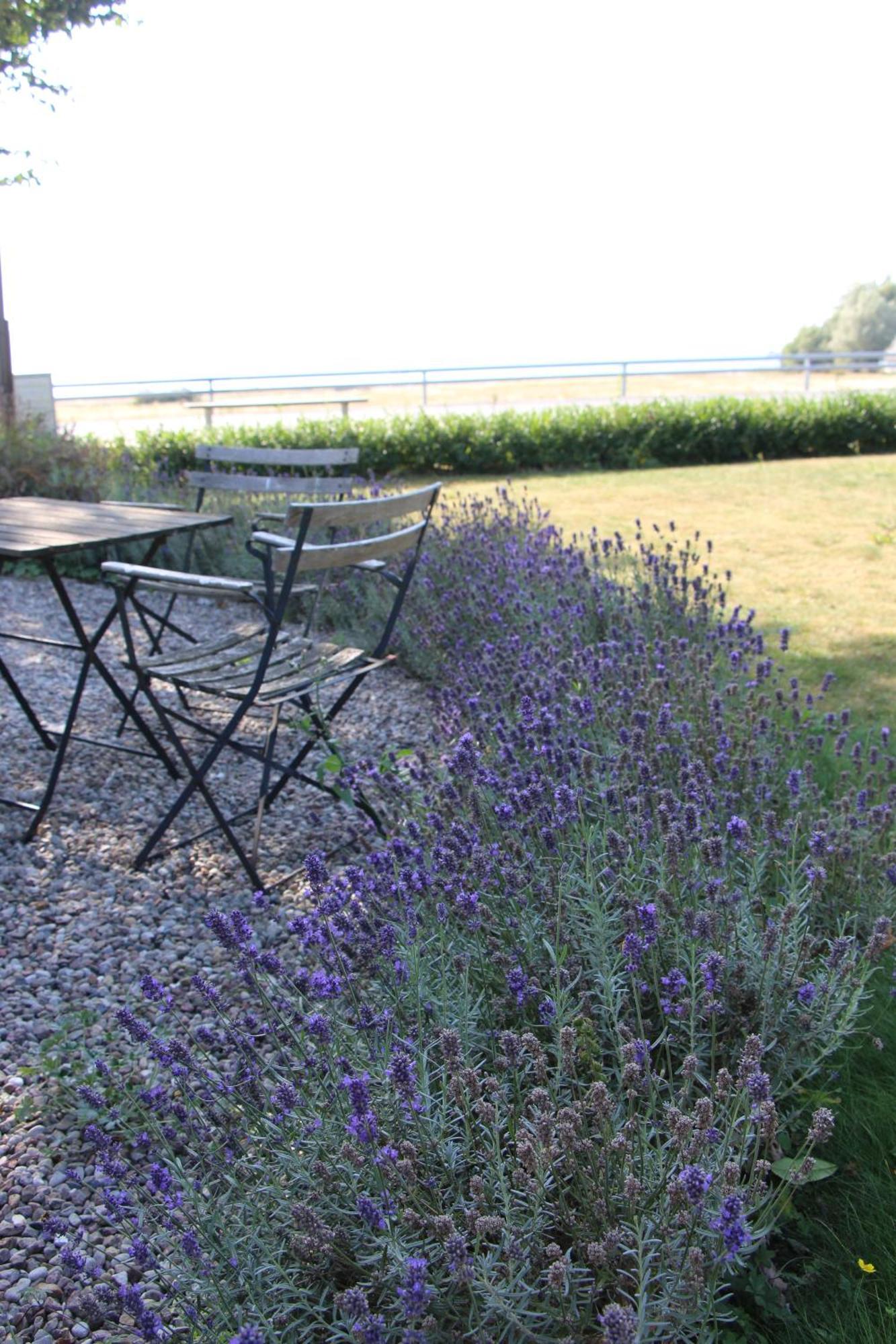 Bjerred B&B Bjärred Exteriör bild