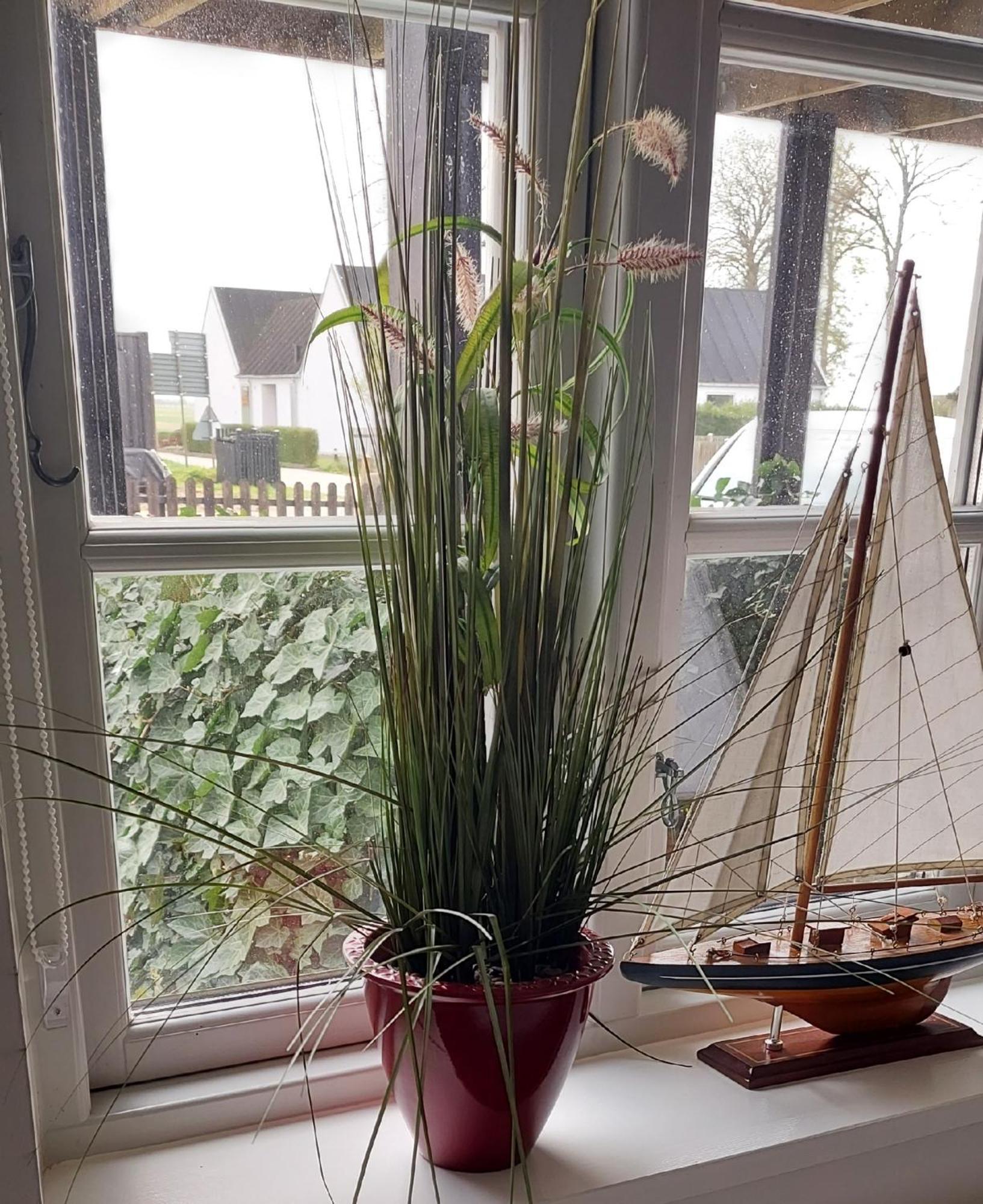 Bjerred B&B Bjärred Exteriör bild