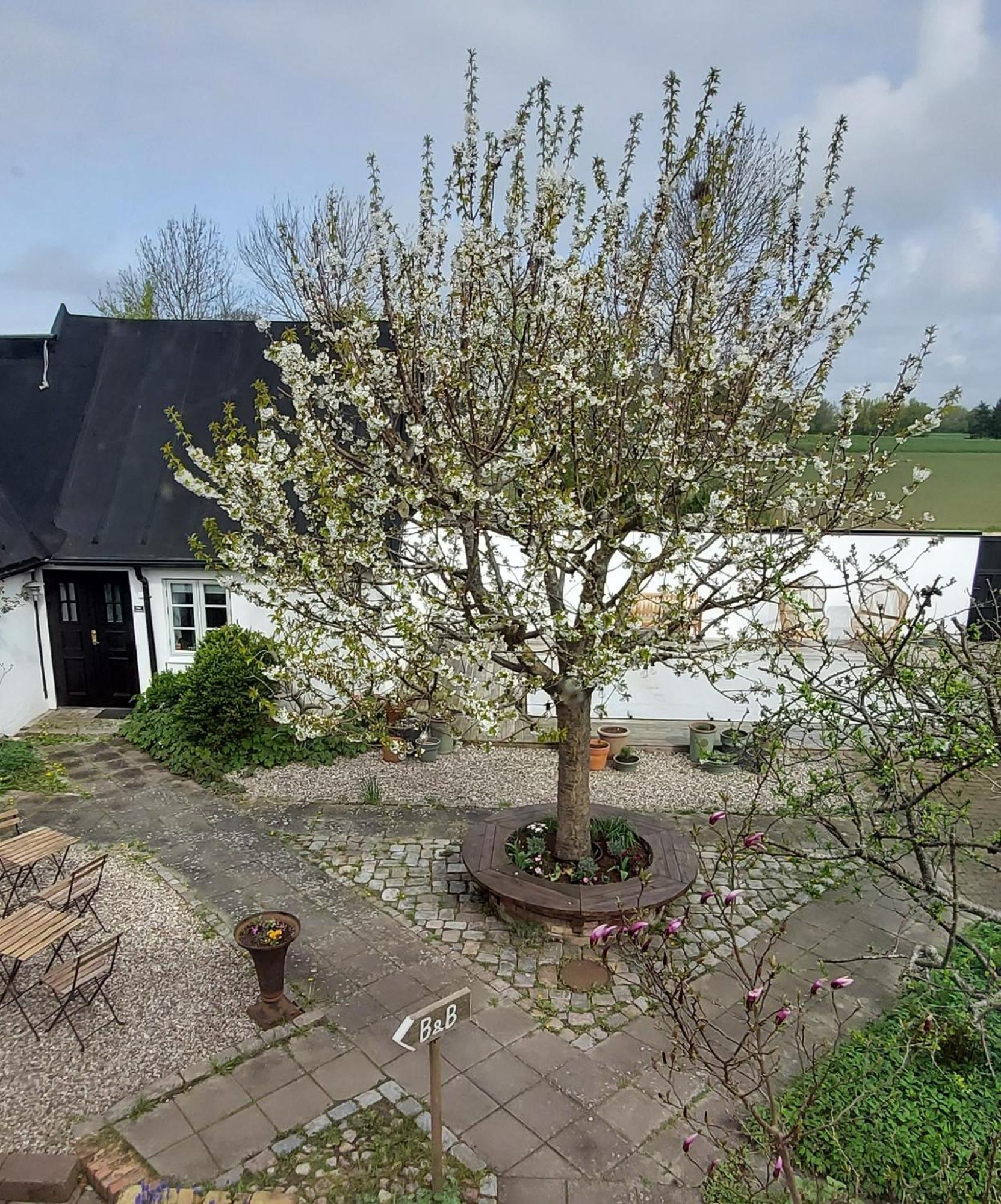 Bjerred B&B Bjärred Exteriör bild